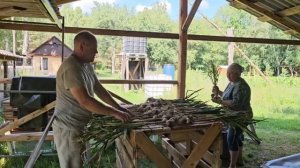 АРБУЗЫ В ЛЕСУ И ТОТ САМЫЙ СОРТ ТОМАТОВ ЕЛЕ ПОЙМАЛИ ПОРОСЯТ СТРОИМ НОВЫЙ КУРЯТНИК