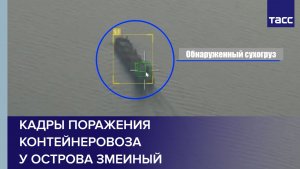 Контейнеровоз у острова Змеиный поразили «Геранью-4 сикер» и «Герберой сикер»