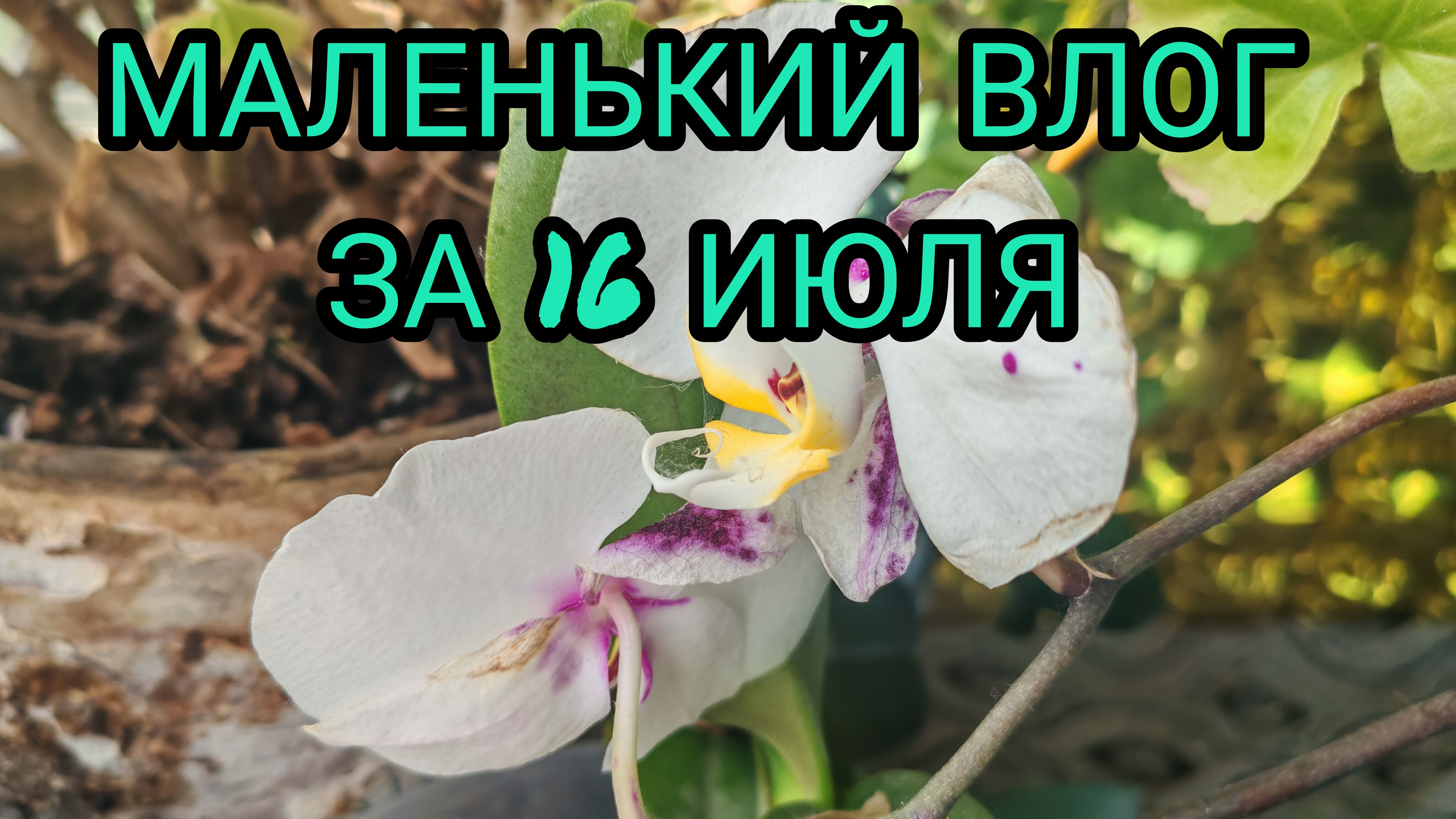Маленький влог. Готовлю. смотреть онлайн