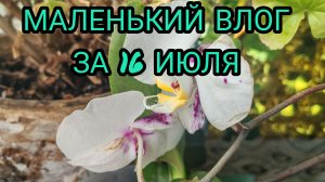 Маленький влог. Готовлю.