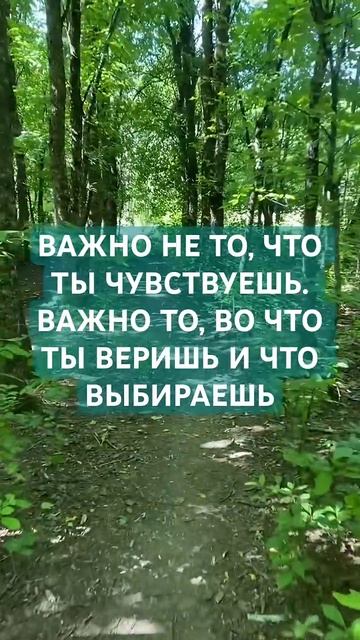ЧУВСТВА