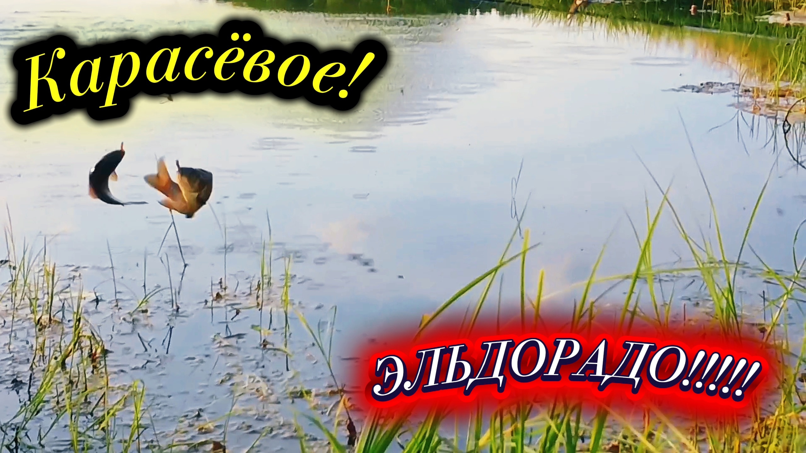 Лучшая Летняя Рыбалка 2026! СУМАШЕДШЕЕ ЭЛЬДОРАДО КАРАСЯ НА СЕКРЕТНЫХ ОЗЁРАХ!!! смотреть онлайн