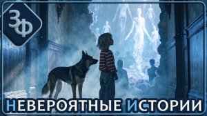 331 Животные и маленькие дети видят параллельный мир Истории зрителей