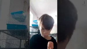 разговариваю с вами