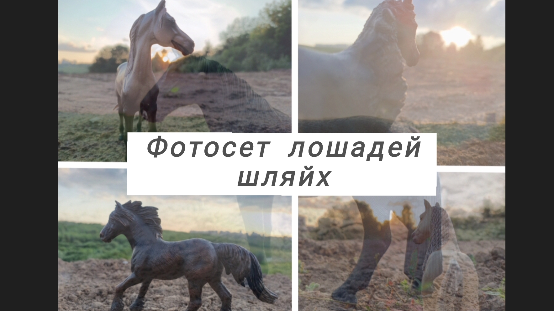 Фотосет лошадей шляйх ✨