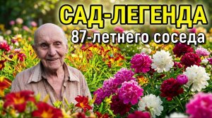 1100 сортов лилейников, 1500 кустов пионов. В гостях у легендарного цветовода. Светлой памяти...