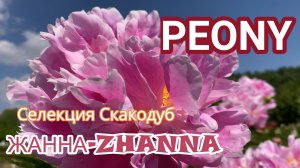 ПИОН «Жанна - Zhanna»/Сад Ворошиловой