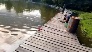 18.07.26 г. РК Волна.