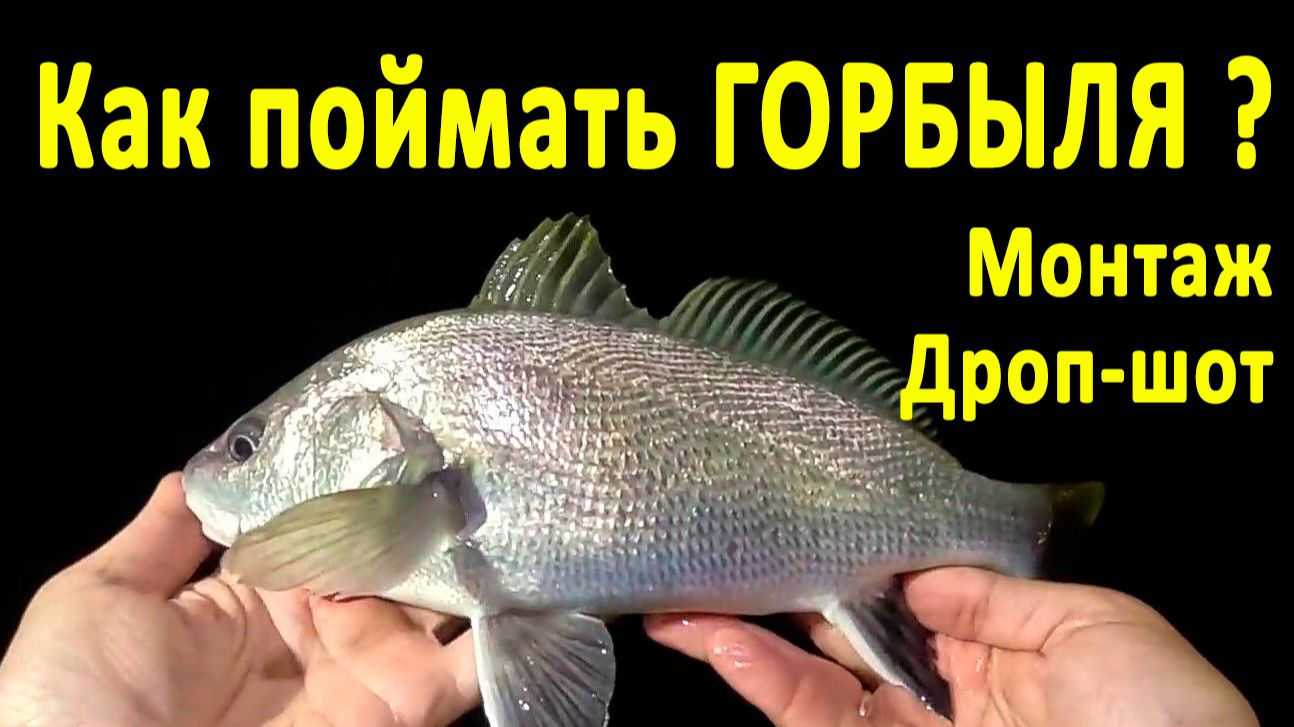 🔥 Как поймать ГОРБЫЛЯ на спиннинг (часть 3)? Уловистый ДРОП-ШОТ. Рыбалка на Черном море в Крыму 🔥 смотреть онлайн