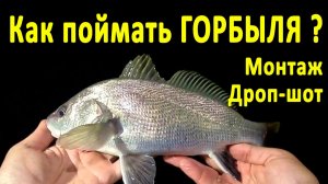 🔥 Как поймать ГОРБЫЛЯ на спиннинг (часть 3)? Уловистый ДРОП-ШОТ. Рыбалка на Черном море в Крыму 🔥
