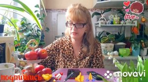 🖋️🚀ЖИЛИ БУРНО И БУЙНО,ЕСТЬ ЧТО ВСПОМНИТЬ💃🔥 МОИ БУДНИ 🚀🖋️