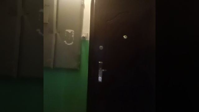 1000027479.mp4 смотреть онлайн