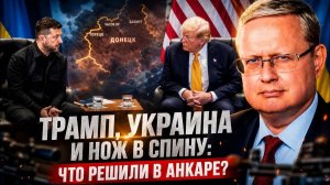 ВАЖНЫЕ НОВОСТИ НА СЕГОДНЯ. Михаил Делягин | Трамп, Украина и нож в спину: что решили в Анкаре?
