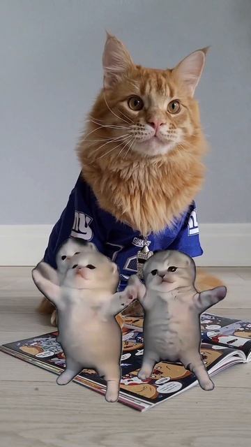 ТанецКотят