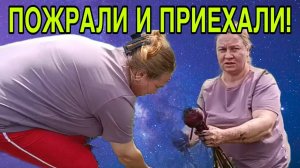 ПОЖРАЛИ И ПРИЕХАЛИ.  ОЛЬГА ИЗ ЗАУРАЛЬЯ. ОБЗОР.