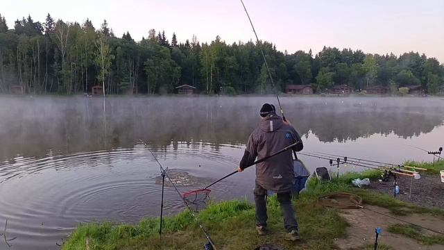 поимка карпа смотреть онлайн