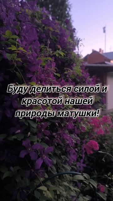 Отпуск начинается! Я приглашаю вас с собой 🤝!