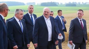 Лукашенко потребовал от аграриев увеличить урожай в Беларуси