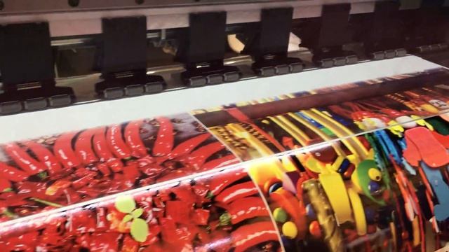 Эко-сольвентный принтер GRANDO GD2000 1,8 м с двумя головками Epson L1440