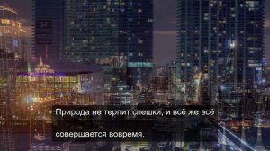 Цветочная симфония: Макромир растений и цветов