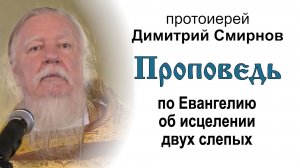 Проповедь по Евангелию об исцелении двух слепых (2014.07.27). Протоиерей Димитрий Смирнов