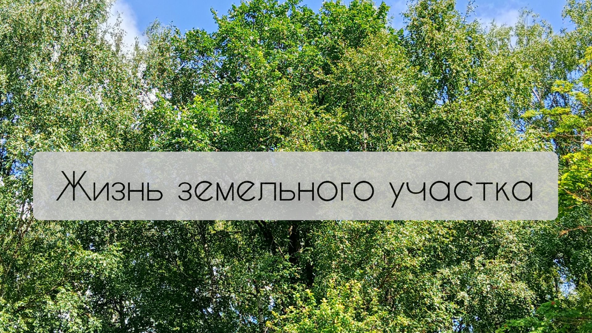 Жизнь земельного участка