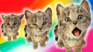 ПРИКЛЮЧЕНИЯ МАЛЕНЬКОГО КОТЕНКА