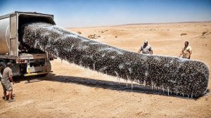 Как Такое Вообще Возможно Случаи На Дороге 1 на 1000000 Снятые НА Камеру