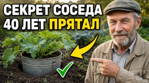 Дедовский способ полива, который сосед прятал от меня 40 лет