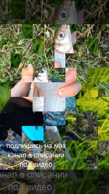 рыбалка смотреть онлайн