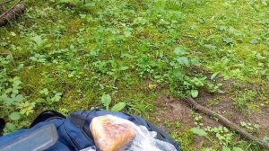 очередной коп, в лесу.