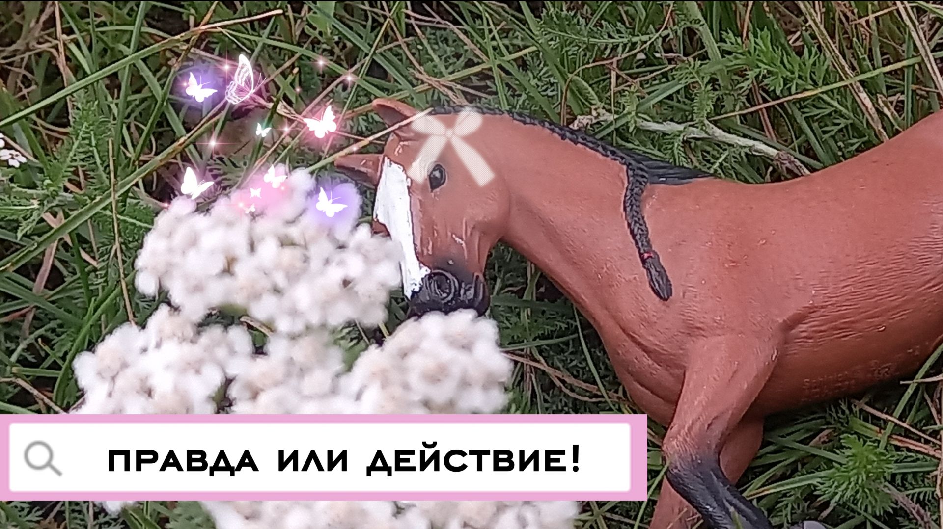 Правда?//или//действие?//лошади/шляйх//коллекта/снежновейная* в описаньице---﹥