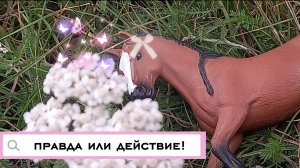 Правда?//или//действие?//лошади/шляйх//коллекта/снежновейная* в описаньице---﹥