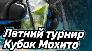 Вымпел vs  Пчеловоды