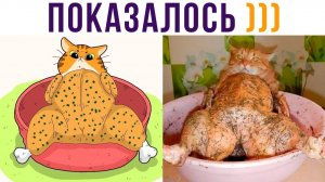 ПОКАЗАЛОСЬ?))) Приколы с котами