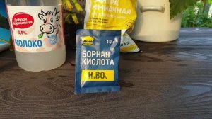 Делайте так с томатами в Июле! Опрыскивание по листу- Волшебный коктейль для томатов.