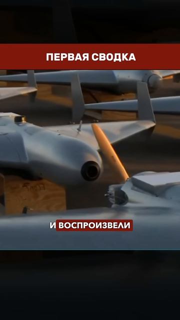 Шортс...Shorst