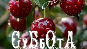 Субботнее доброе утро!. Самая лучшая музыкальная открытка.