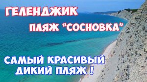 Геленджик. Пляж Сосновка в Геленджике. Самый красивый дикий пляж Геленджика