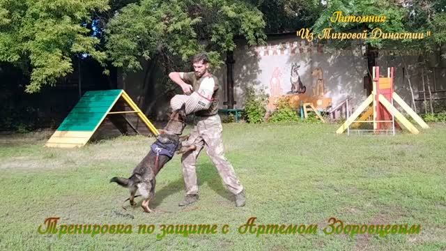 Защитный тренинг. Июль 2026 смотреть онлайн