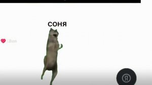 :3(видео Волфи