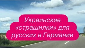 Почему чехи не любят работать с украинцами. #новости #беженцыизукраины