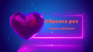 Правильная обрезка роз🌹 летом