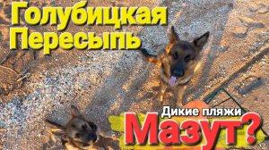 Есть ли #Мазут на Диких пляжах. От Пересыпи до Голубицкой Азовское море