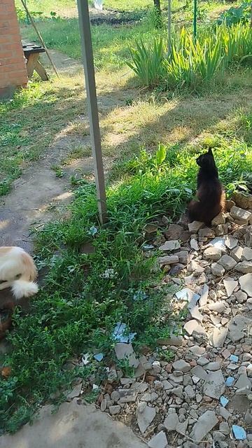 VID_20260716_173008