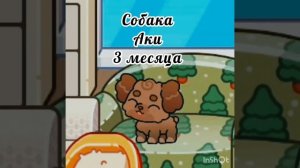 новый семья❤