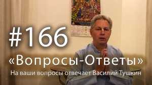 «Вопросы-Ответы», Выпуск #166 - Василий Тушкин отвечает на ваши вопросы