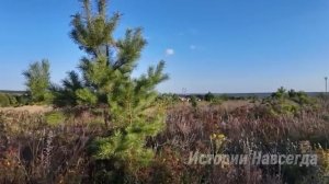 Приехав в глушь за наследством, Иван забрел в старый дом. А увидев…