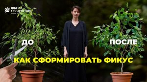 Мастер-класс по обрезке растений