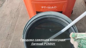 Саженцы винограда. Обработка. Евгений РОМАН